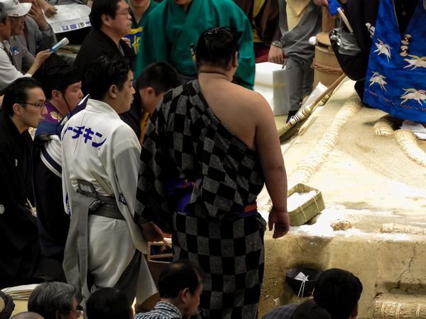 場所総括 平成29年三月場所 どがちゃがhong Kong Osaka